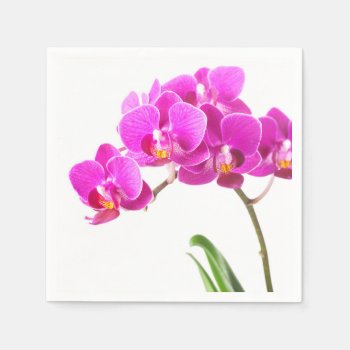 Pink Purple Dendrobium Orchid Tropical Flower Napkins by Christine_Elizabeth at Zazzle