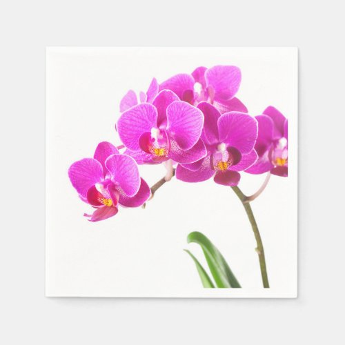 Pink Purple Dendrobium Orchid Tropical Flower Napkins