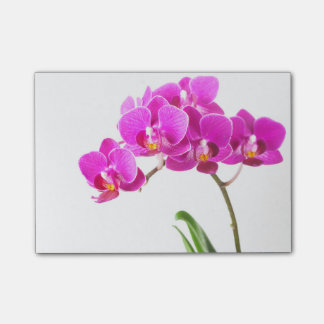 Pink Purple Dendrobium Orchid Tropical Flower Post-it Notes