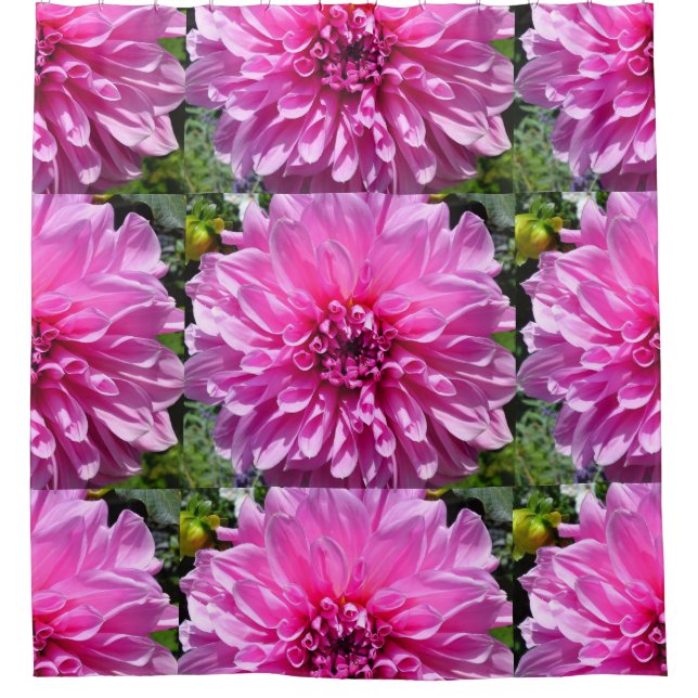 Pink Purple Dhalia Flower Shower Curtains (Front)