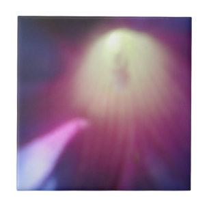 Pink-Purple Floral Tile