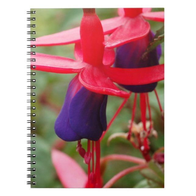 Pink Purple Flowers Photo Notebook (Front)