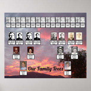 Pink Purple Gold-Lined Clouds Two Family Trees Poster
