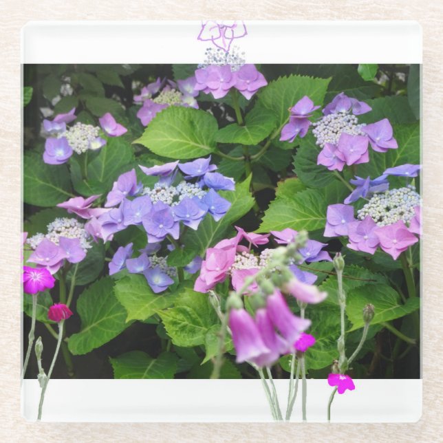 Pink & Purple Hydrangea Design Coaster (Front)