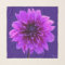Pink Purple Indigo Dahlia Square Chiffon Scarf