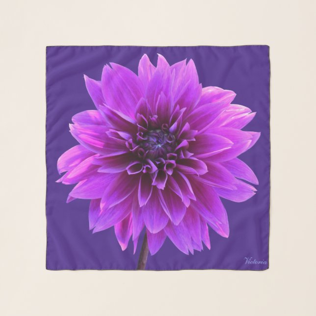 Pink Purple Indigo Dahlia Square Chiffon Scarf (Front)