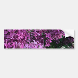 Pink purple lilacs   romantic pink floral photo bumper sticker