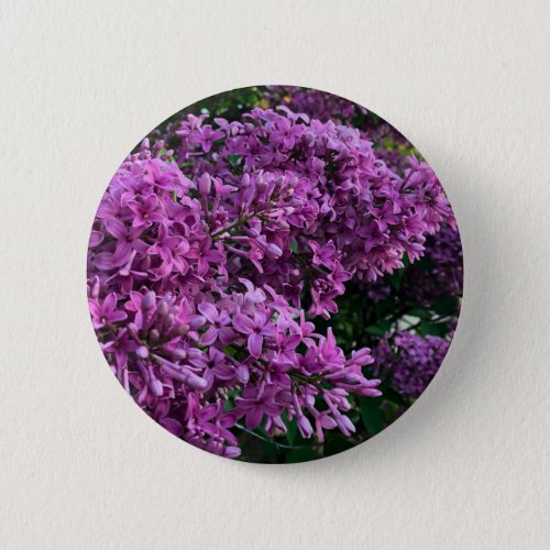 Pink purple lilacs  romantic pink floral photo button