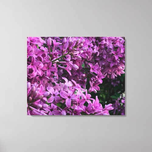 Pink purple lilacs  romantic pink floral photo canvas print