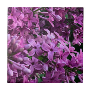 Pink purple lilacs   romantic pink floral photo ceramic tile
