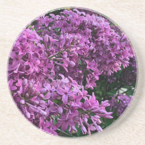 Pink purple lilacs  romantic pink floral photo coaster