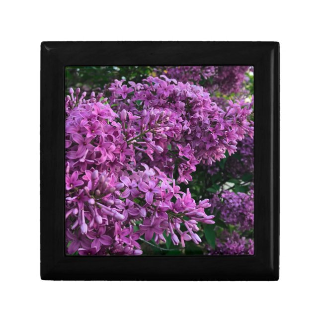 Pink purple lilacs | romantic pink floral photo gift box (Front)