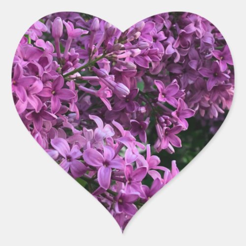 Pink purple lilacs  romantic pink floral photo heart sticker