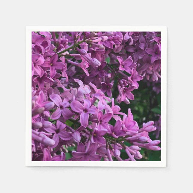 Pink purple lilacs | romantic pink floral photo napkins (Front)