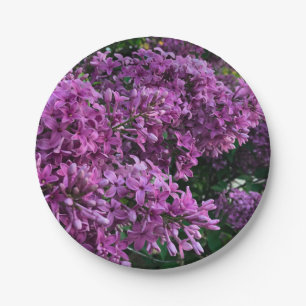 Pink purple lilacs   romantic pink floral photo paper plates