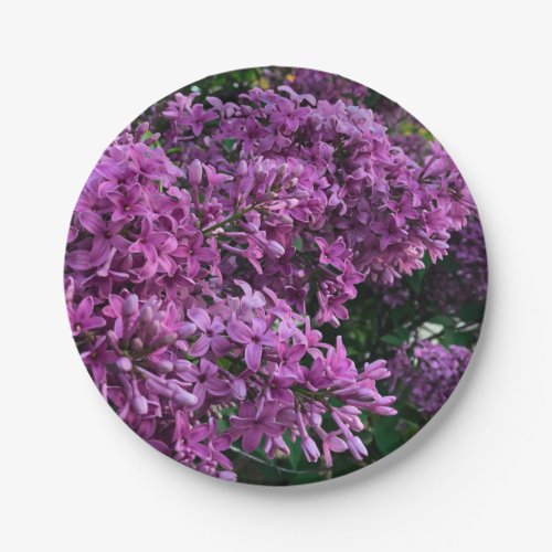 Pink purple lilacs  romantic pink floral photo paper plates