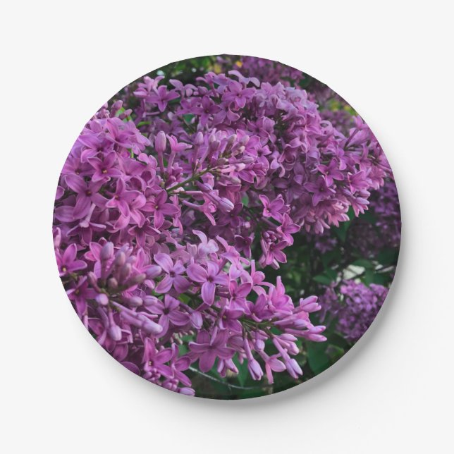 Pink purple lilacs | romantic pink floral photo paper plates (Front)