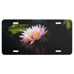 Pink Purple Lotus Waterlilies License Plate