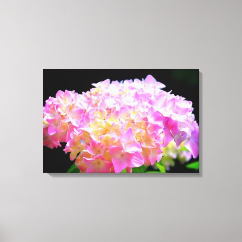 Pink purple orange hydrangeas canvas print