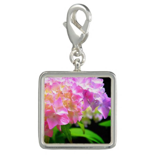 Pink purple orange hydrangeas charm