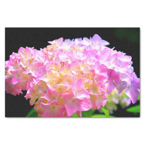 Pink purple orange hydrangeas tissue paper