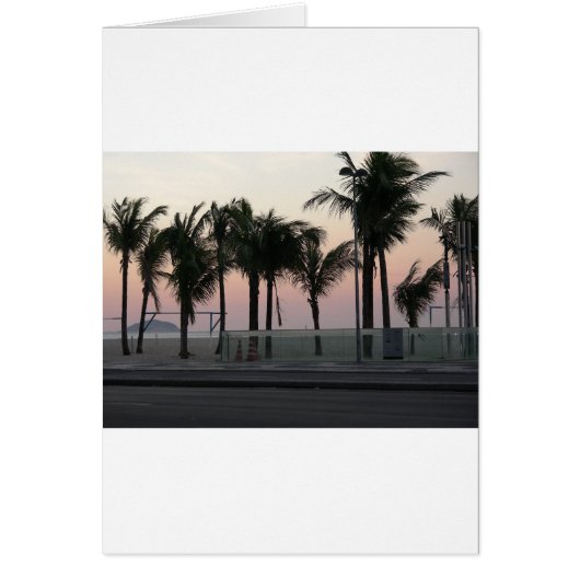 Pink Purple Palms Cards (Front)
