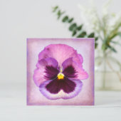 Pink Purple Pansy Flower (Standing Front)