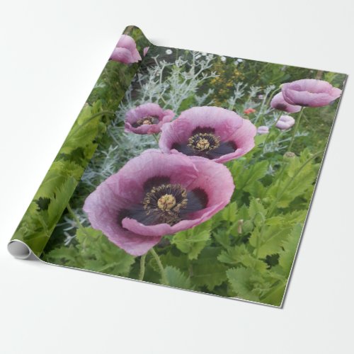 Pink Purple Poppies Floral Flowers Wrapping Paper