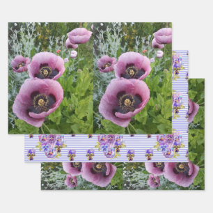 Pink Purple Poppies Mauve Purple Flower Gift Wrapping Paper Sheets