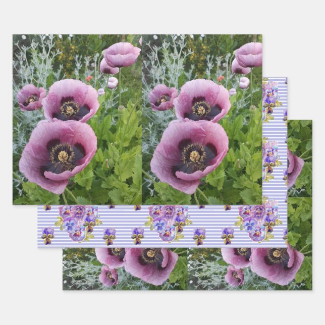 Pink Purple Poppies Mauve Purple Flower Gift  Wrapping Paper Sheets (Set)