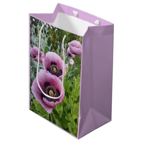 Pink Purple Poppies Mauve Purple Watercolor Medium Medium Gift Bag