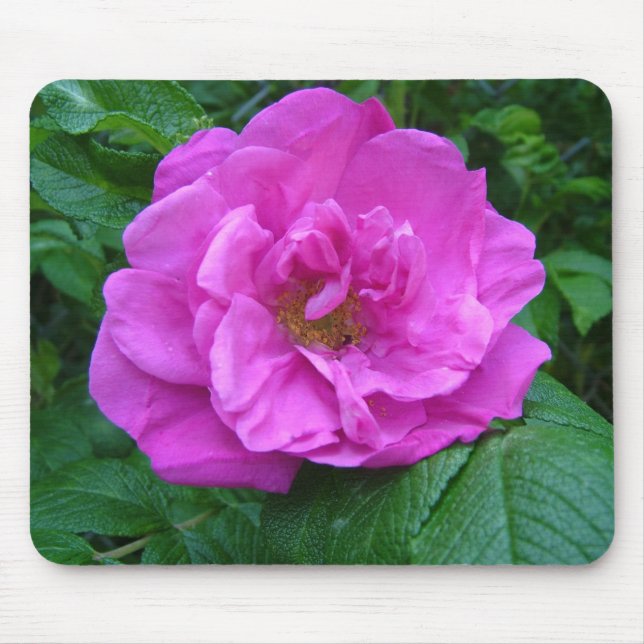 pink, purple rose flower mouse pad (Front)