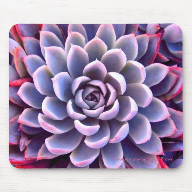 PInk & Purple Succulent Mousepad (Front)