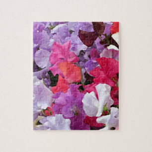 Pink, purple & white Sweet pea flowers in bloom Jigsaw Puzzle