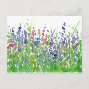 colorful wild flowers watercolor painting Postcard for Sale by  ColorandColor