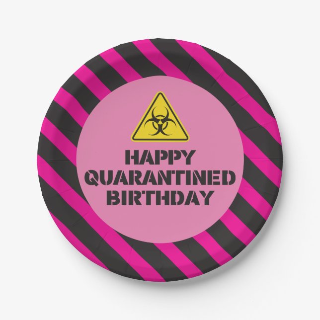 Pink Quarantine Birthday Party Plates (Front)