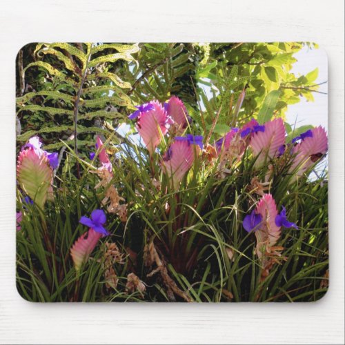 Pink Quill Bromeliad Mouse Pad