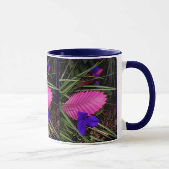 Pink Quill Bromeliad Mug