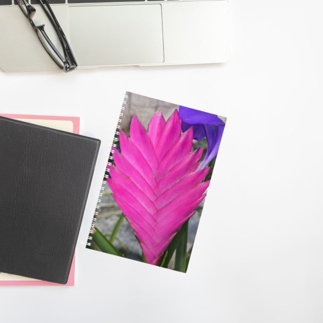 Pink Quill Plant Floral Notebook (In Situ)