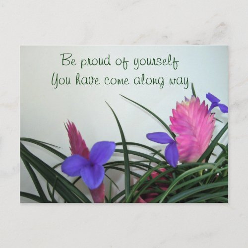 Pink Quill Plants Postcard