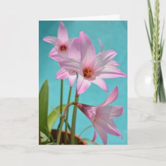 Pink Rain Lilies Easter  Card