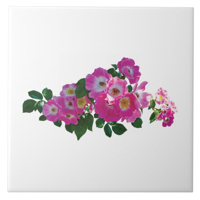 Pink Rambler Rose Ceramic Tile (Front)