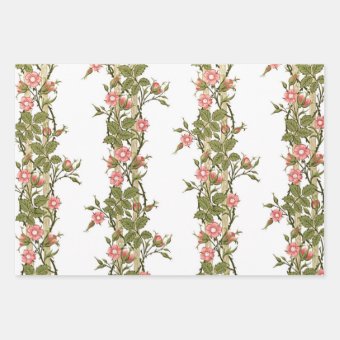 Pink Rambling Rose Vines Wrapping Paper Sheets | Zazzle