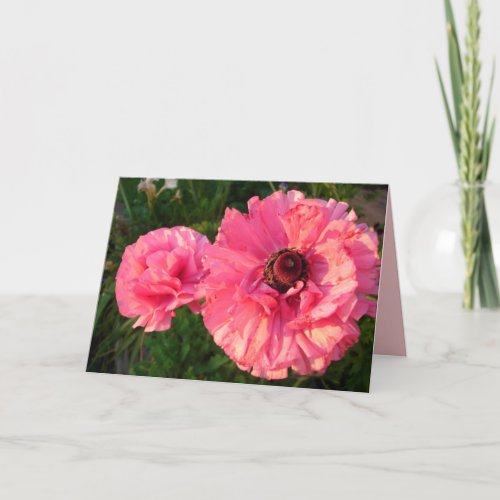 Pink Rannunculus Spring Flower floral Card