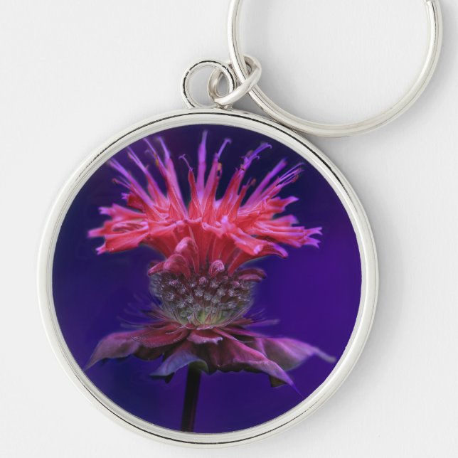 Pink Raspberry Wine Bee Balm Flower on Purple Keychain (Front)