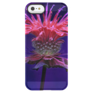 Pink Raspberry Wine Bee Balm Flower on Purple Permafrost iPhone SE/5/5s Case
