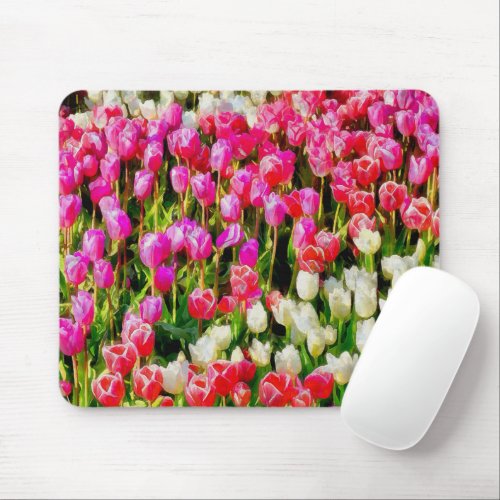 Pink Red and White Tulips from Mt Vernon Mouse Pad