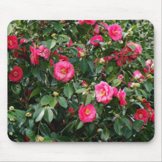Pink & Red Camillias Mousepad