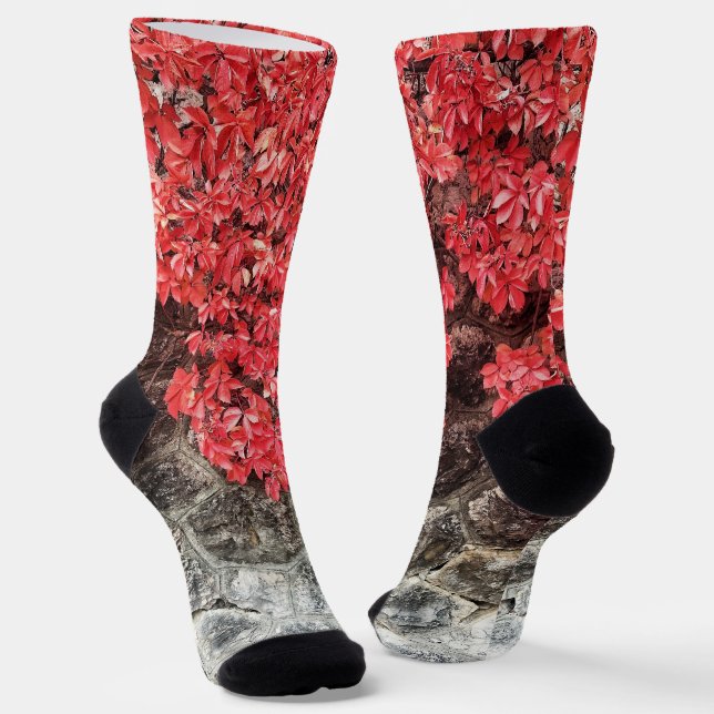 Pink red gray ivy leaves autumn abstract photo socks (Angled)