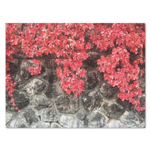 Pink red gray ivy leaves autumn abstract photo tissue paper
